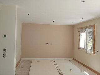 Servicio de Pintor Profesional