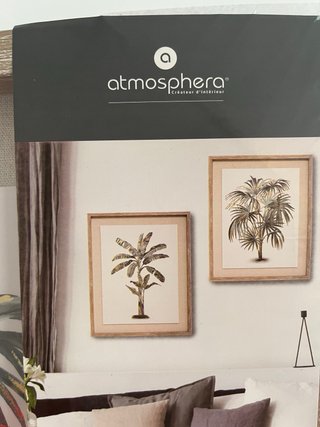 Set de 2 cuadros de árboles tropicales
