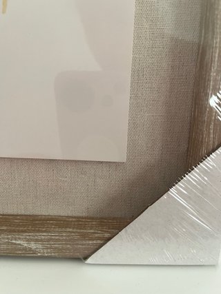 Set de 2 cuadros de árboles tropicales