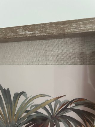 Set de 2 cuadros de árboles tropicales