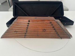 Instrumento musical de cuerda