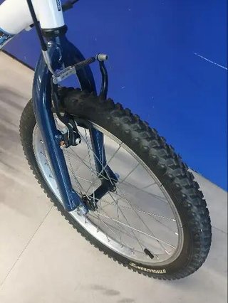 Bicicleta infanntil ST 120 20"