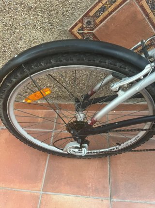 Lote 2 Bicicletas Orbea hombre/Mujer.niños