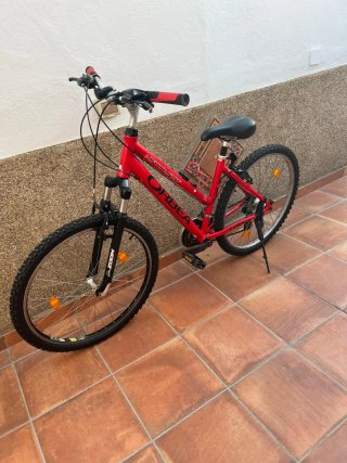 Lote 2 Bicicletas Orbea hombre/Mujer.niños