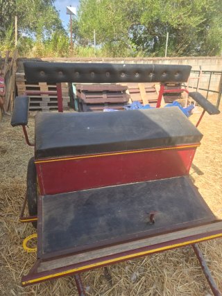 Carro para pony