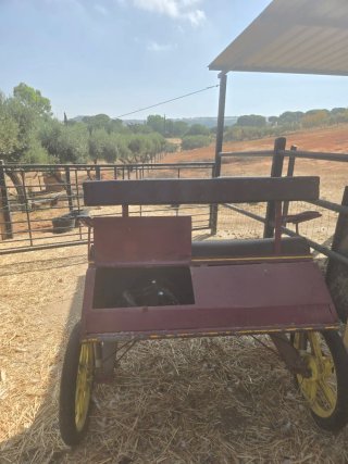 Carro para pony