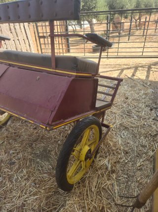 Carro para pony