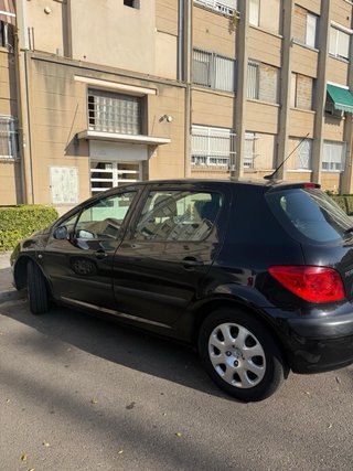 Peugeot 307 2007