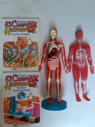 Colección El Cuerpo Humano Planeta DeAgostini 1992