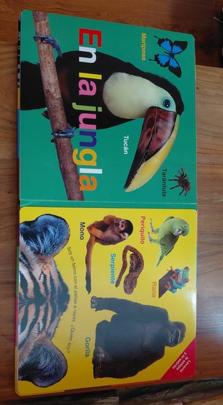 Mi Libro Gigante de Animales