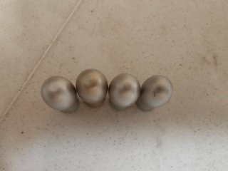 Tiradores para muebles (4 unidades)