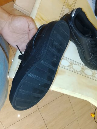 Bambas puma
