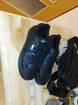 Bambas puma