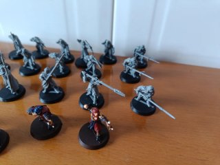24 Guerreros de Harad Games Workshop