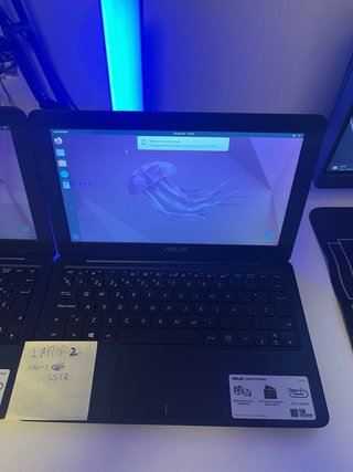Lote 2 Portátiles ASUS 11.6 4GB RAM 500GB