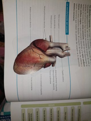 Anatomía Aplicada 1 Bachillerato ANAYA