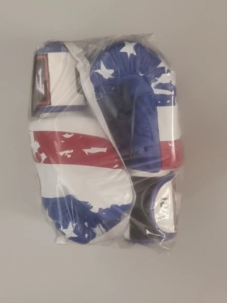 Guantes Muay Thai Twins Special 10oz