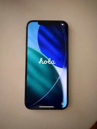 iPhone 12 Pro Max 256GB