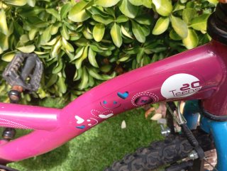Bicicleta Denver Niña 6-8 Años.