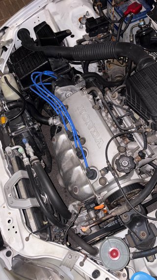 Honda Civic ej9 pegatina B