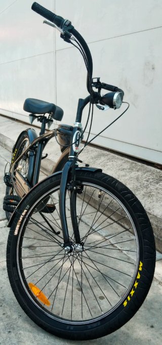 Bicicleta SCHWING PANTER🇨🇭