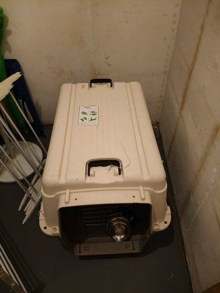 Transportín perro mediano con ruedas