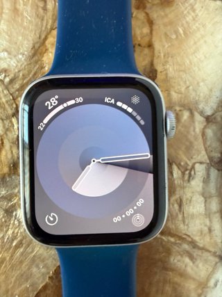 Apple Watch SE 44mm Plata Cellular
