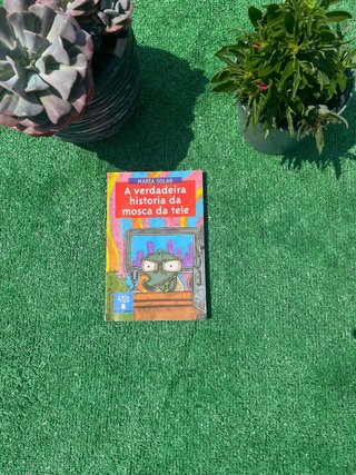 Libro “A verdadeira historia da mosca da tele”