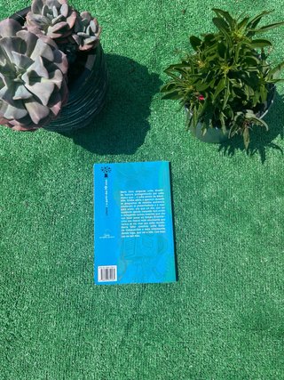 Libro “A verdadeira historia da mosca da tele”