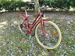 Bicicleta urbana roja vintasg