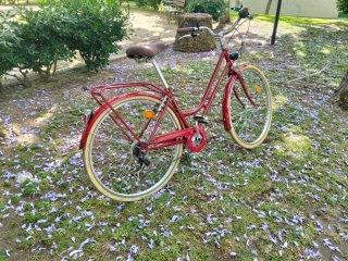 Bicicleta urbana roja vintasg