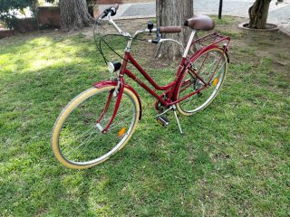 Bicicleta urbana roja vintasg