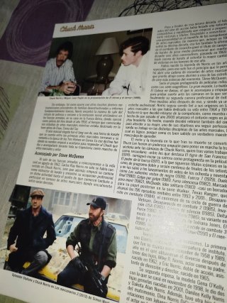 Especial Chuck Norris