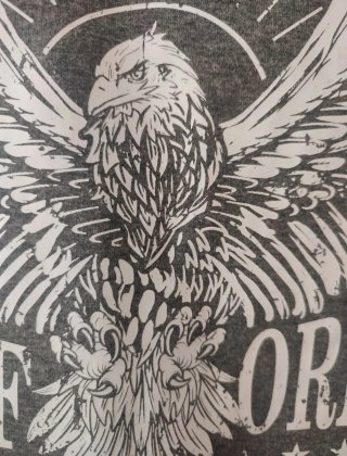 Camiseta gris águila California 1776