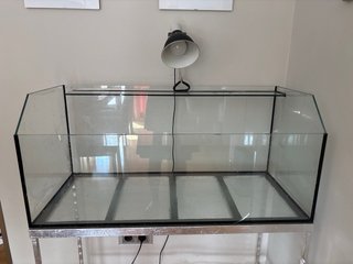 Acuario pecera grande