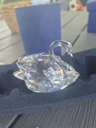 Cigno Swarovski