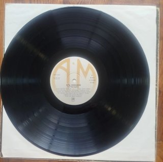 Vinilo Rita Coolidge - Fall Into Spring