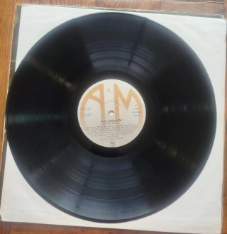 Vinilo Rita Coolidge - Fall Into Spring