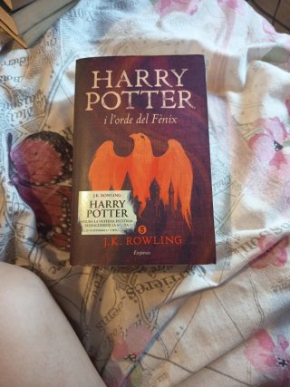 Harry Potter i l'orde del fènix