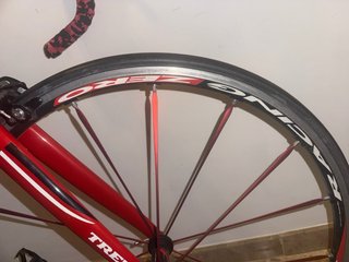 Bicicleta Trek Madone Campagnolo Record