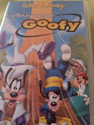 Lote 26 VHS Disney y Más