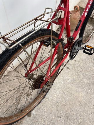 Bicicleta de montaña ALCOTAN STAR DAY