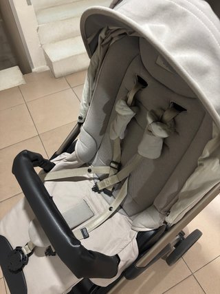 Carrito Inglesina Electa 2024