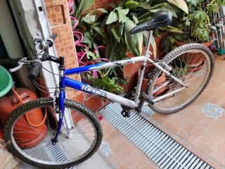 Bicicleta Top Bike 50 Azul y Plata