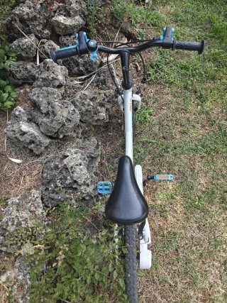 Bicicleta infantil B'TWIN 16 pulgadas