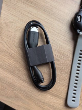 Garmin Vivoactive 4s Smartwatch Gris