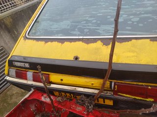 Renault 15 Frances Piezas