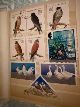 Lote Internacional Selos Animais Aves