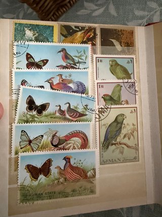 Lote Internacional Selos Animais Aves
