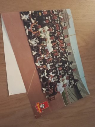 Póster Barcelona Dragons